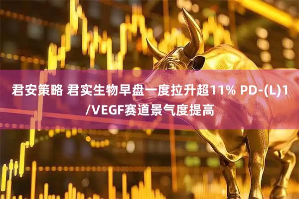 君安策略 君实生物早盘一度拉升超11% PD-(L)1/VEGF赛道景气度提高