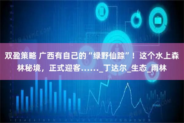 双盈策略 广西有自己的“绿野仙踪”！这个水上森林秘境，正式迎客……_丁达尔_生态_雨林